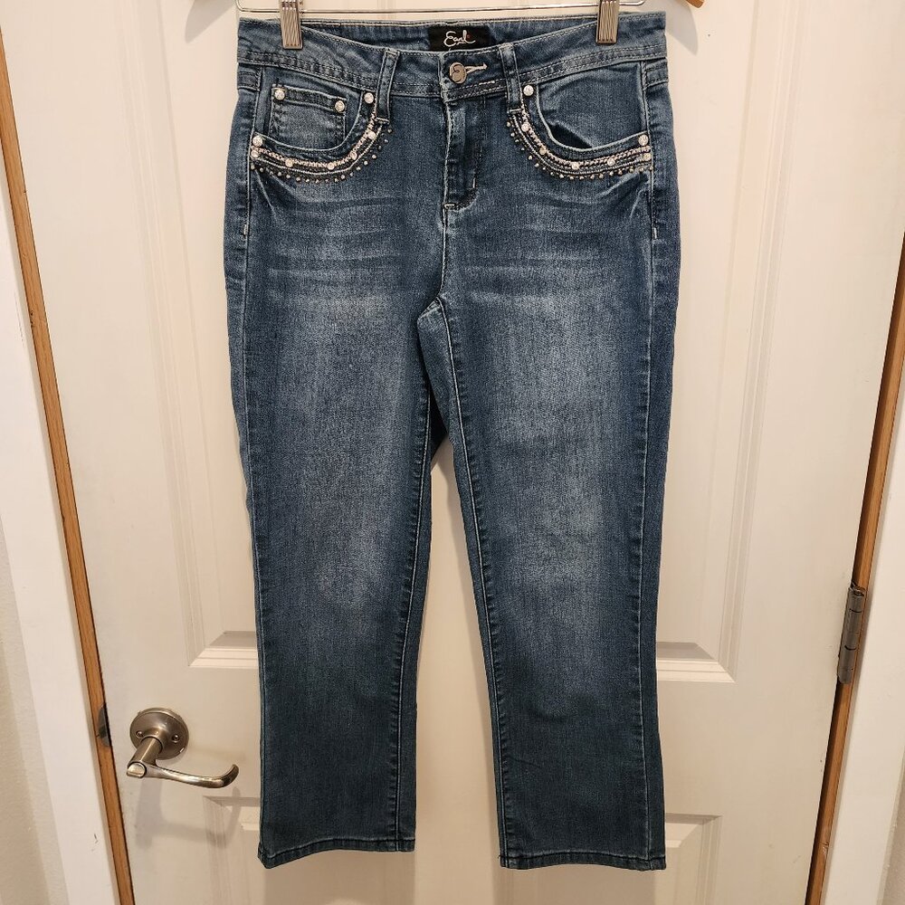 Earl Jean Women's Stretch Embroidered Denim Straight Leg Jeans, Size 4